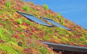 St Erth Praze living roof systems